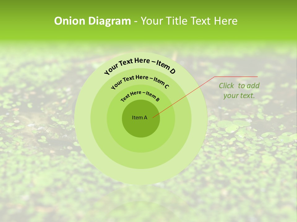 Wildlife Water Outdoors PowerPoint Template