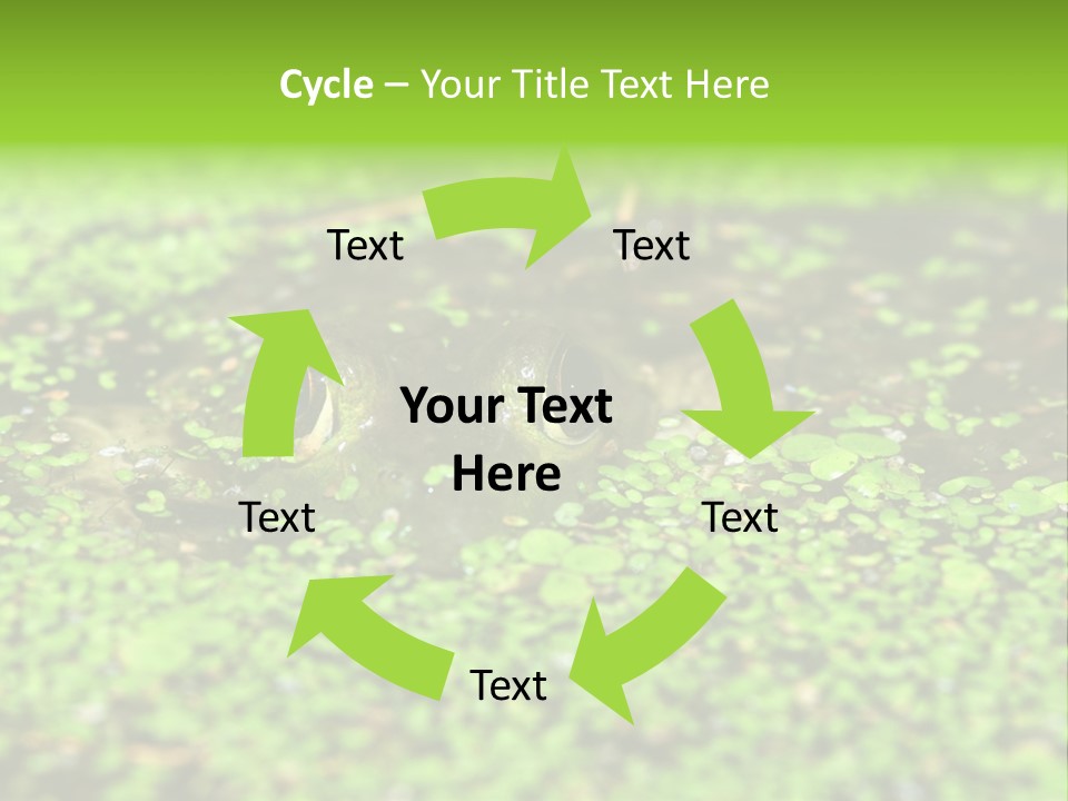 Wildlife Water Outdoors PowerPoint Template