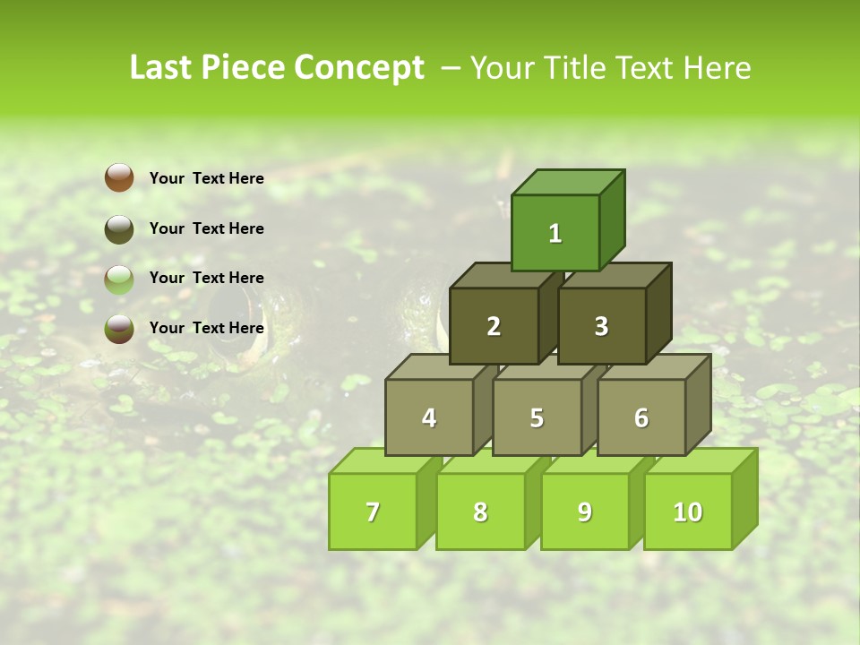 Wildlife Water Outdoors PowerPoint Template