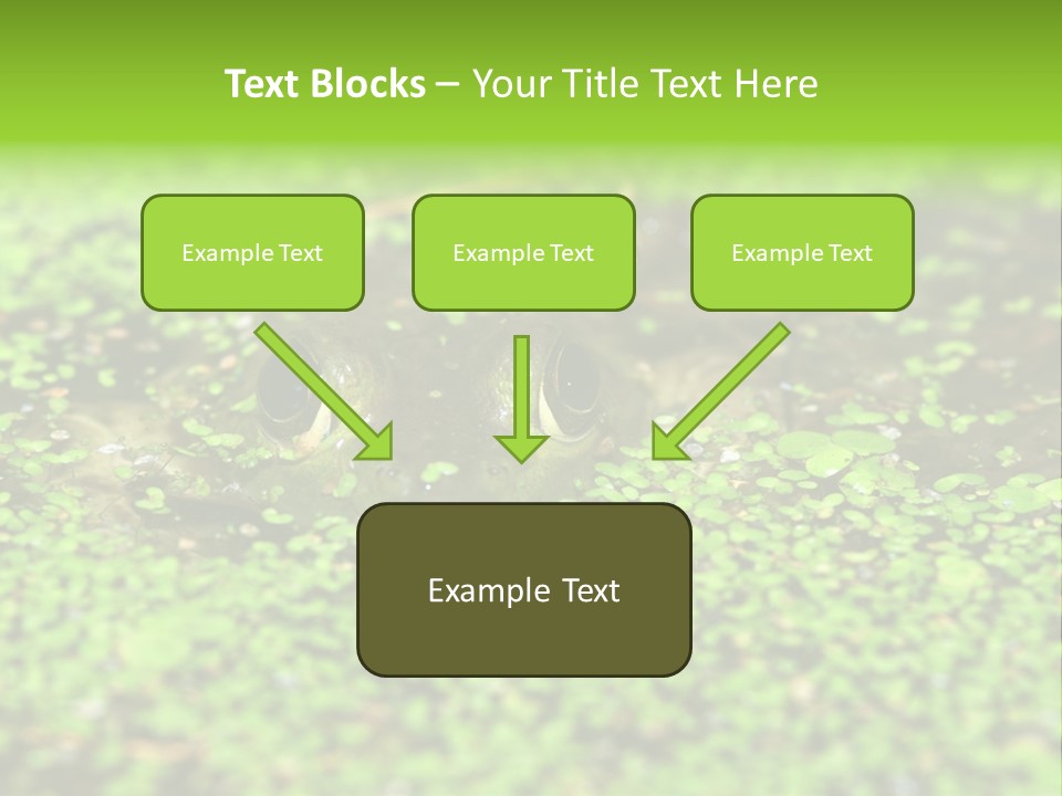 Wildlife Water Outdoors PowerPoint Template