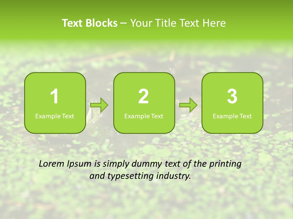 Wildlife Water Outdoors PowerPoint Template