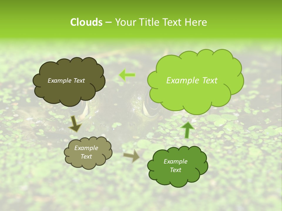 Wildlife Water Outdoors PowerPoint Template