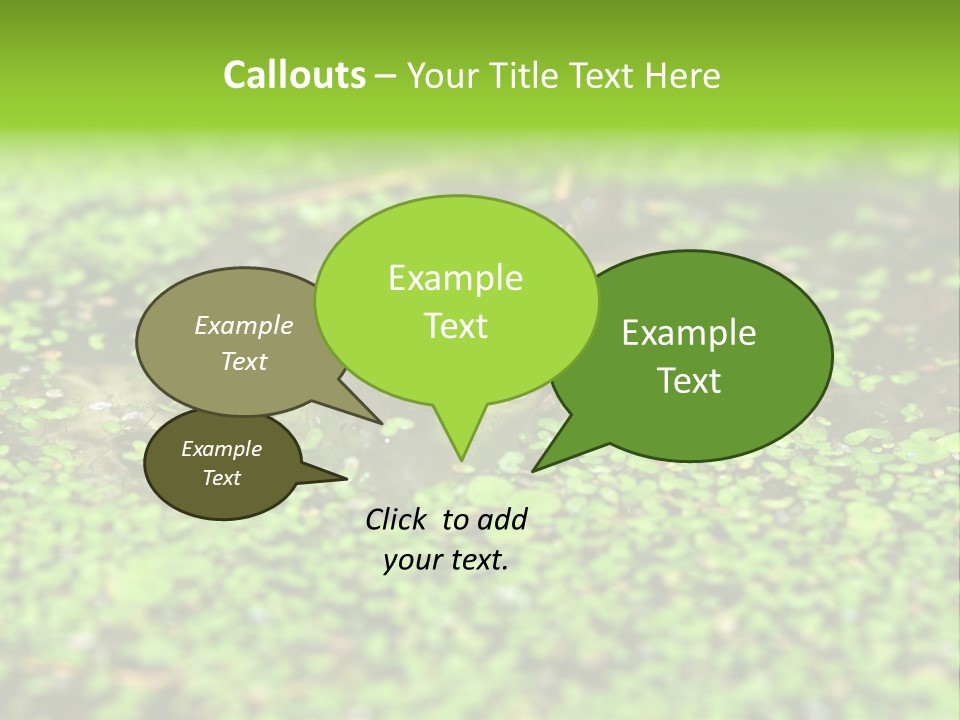 Wildlife Water Outdoors PowerPoint Template