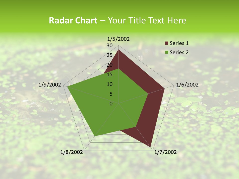 Wildlife Water Outdoors PowerPoint Template
