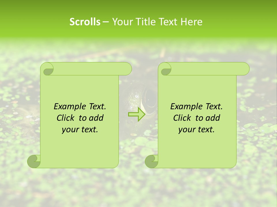 Wildlife Water Outdoors PowerPoint Template