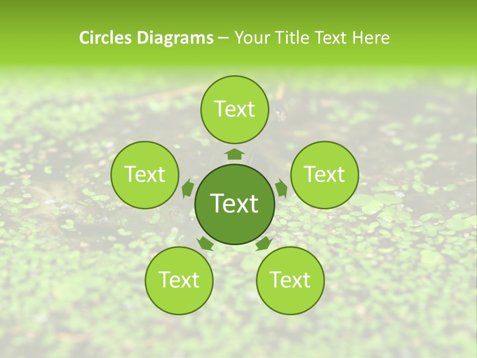 Wildlife Water Outdoors PowerPoint Template