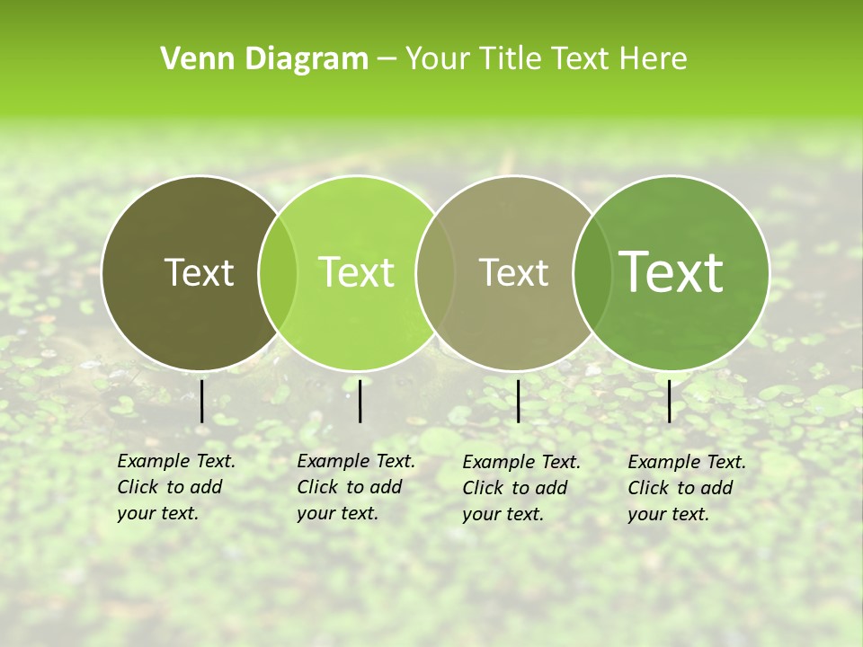 Wildlife Water Outdoors PowerPoint Template