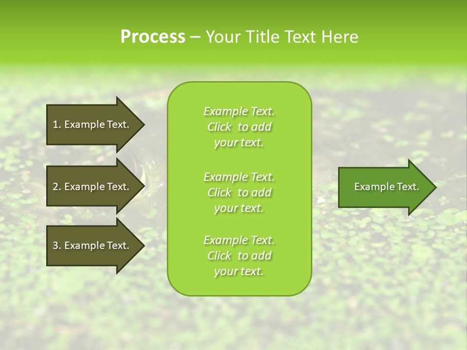 Wildlife Water Outdoors PowerPoint Template