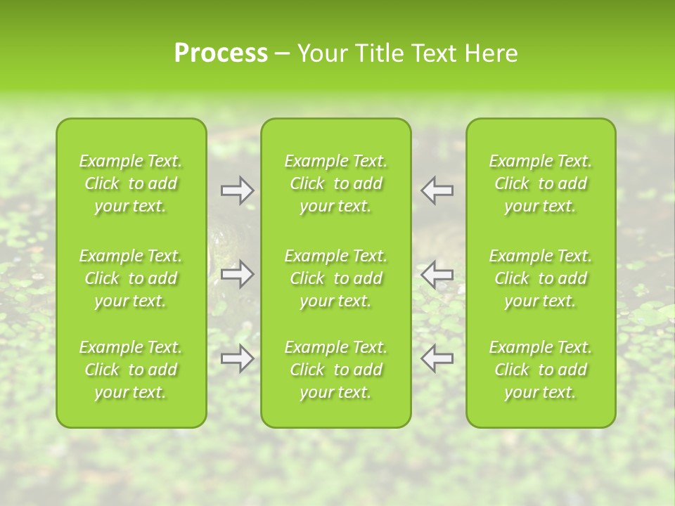 Wildlife Water Outdoors PowerPoint Template