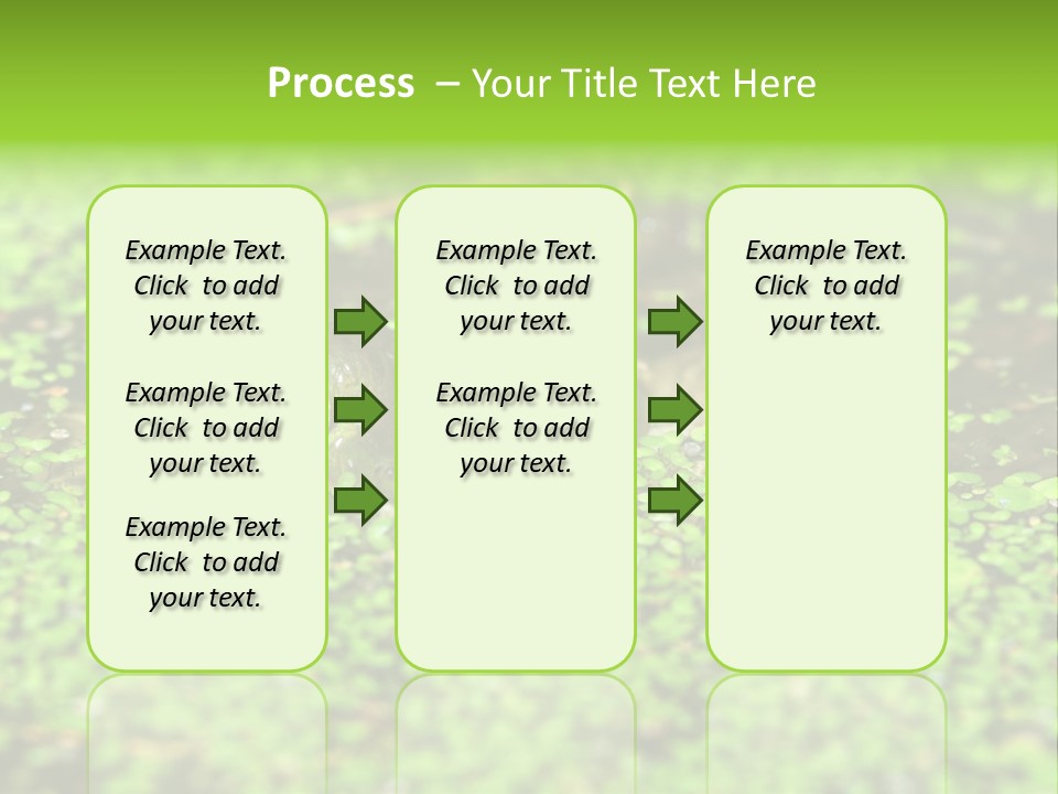 Wildlife Water Outdoors PowerPoint Template