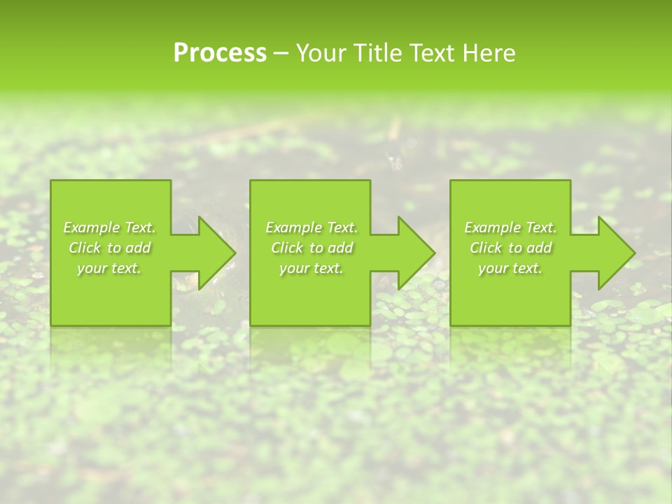 Wildlife Water Outdoors PowerPoint Template