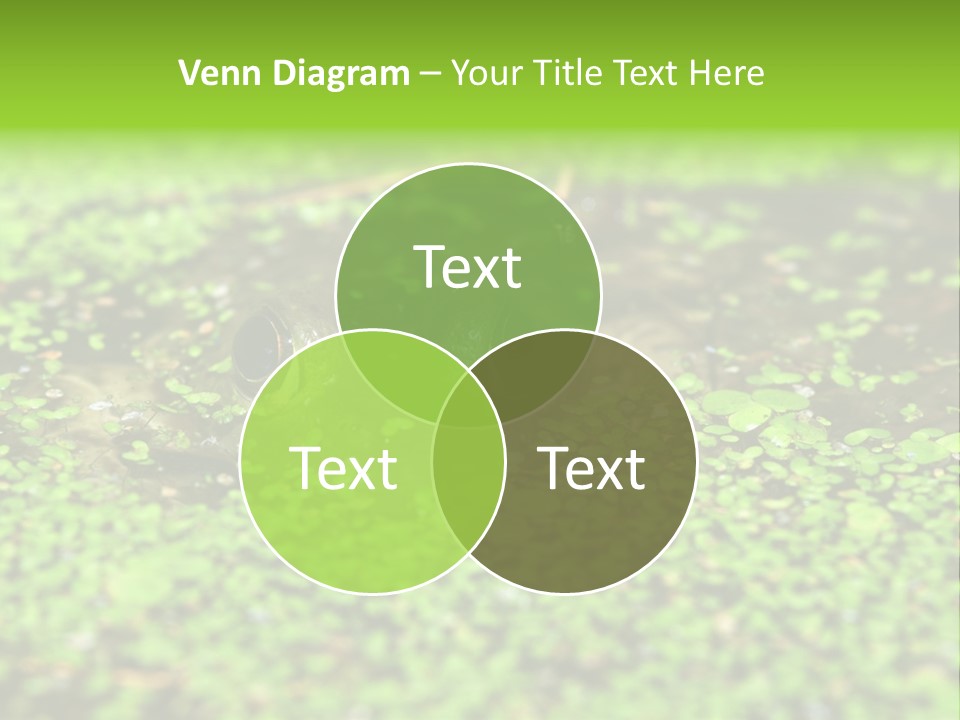 Wildlife Water Outdoors PowerPoint Template