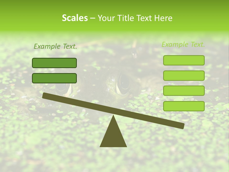 Wildlife Water Outdoors PowerPoint Template