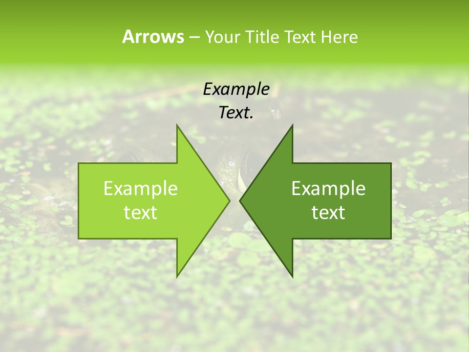 Wildlife Water Outdoors PowerPoint Template