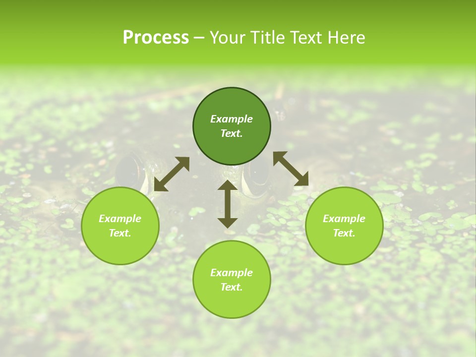 Wildlife Water Outdoors PowerPoint Template