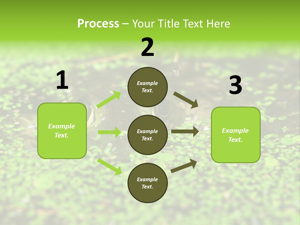 Wildlife Water Outdoors PowerPoint Template