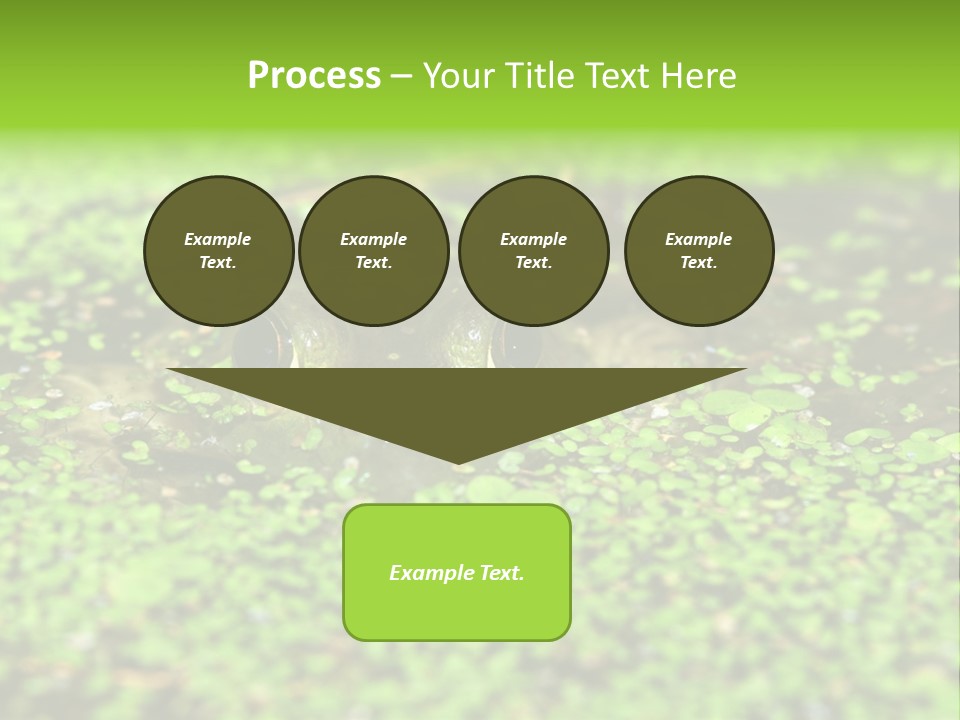 Wildlife Water Outdoors PowerPoint Template