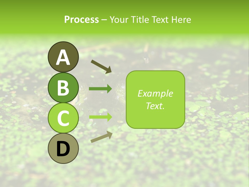 Wildlife Water Outdoors PowerPoint Template