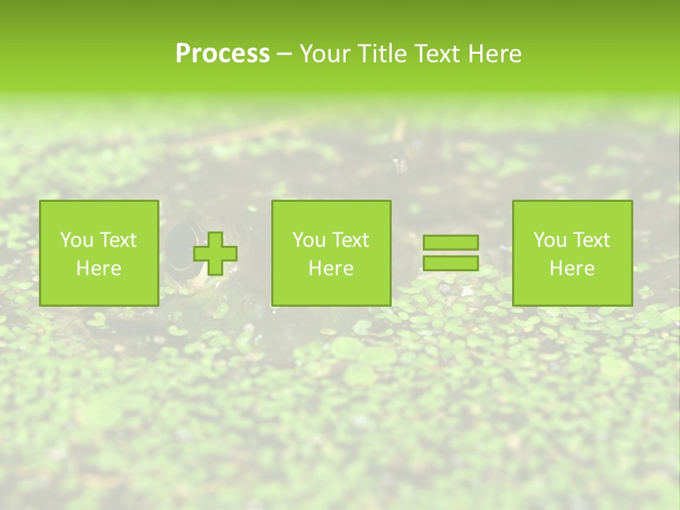 Wildlife Water Outdoors PowerPoint Template