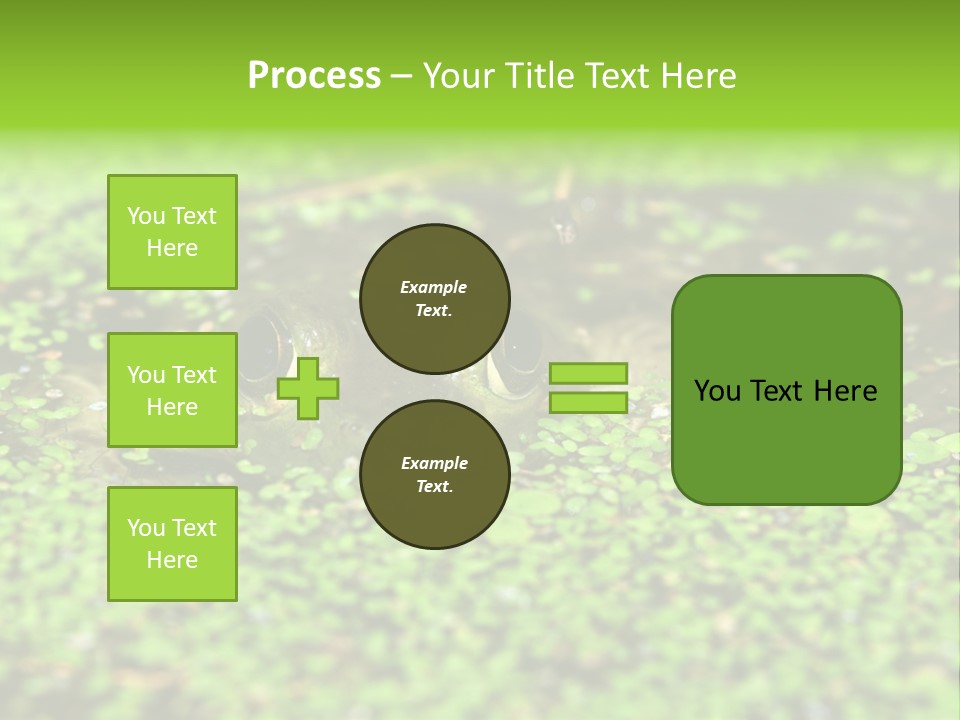 Wildlife Water Outdoors PowerPoint Template