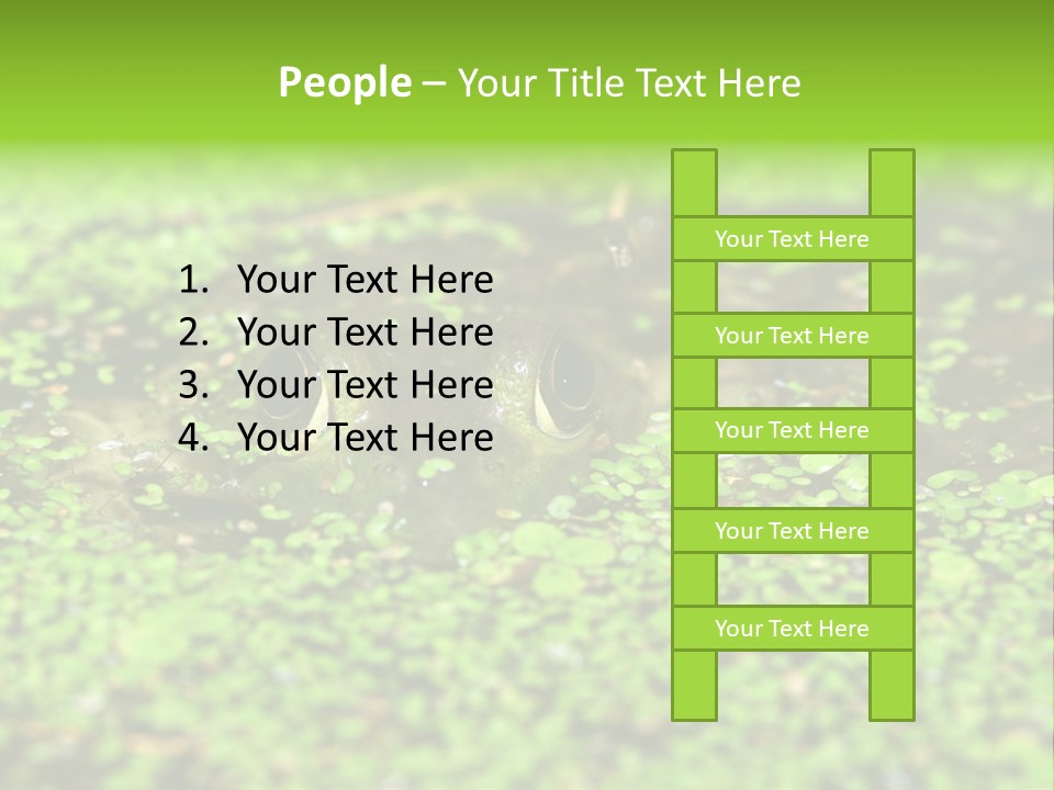 Wildlife Water Outdoors PowerPoint Template