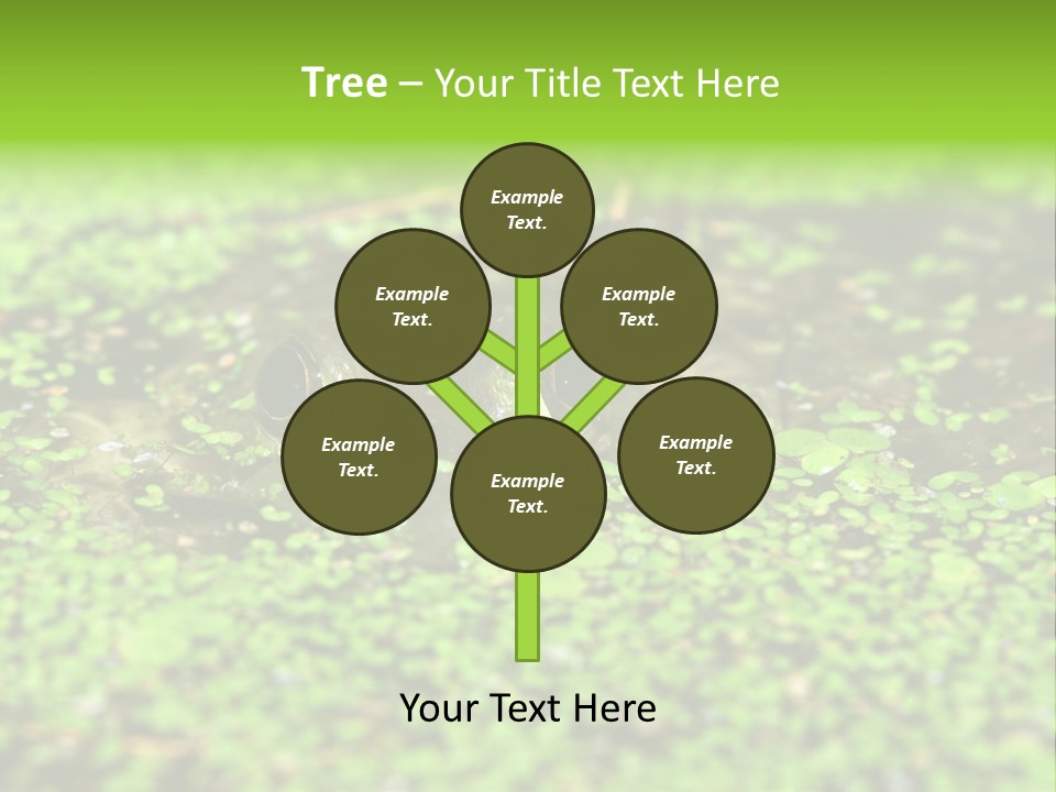 Wildlife Water Outdoors PowerPoint Template