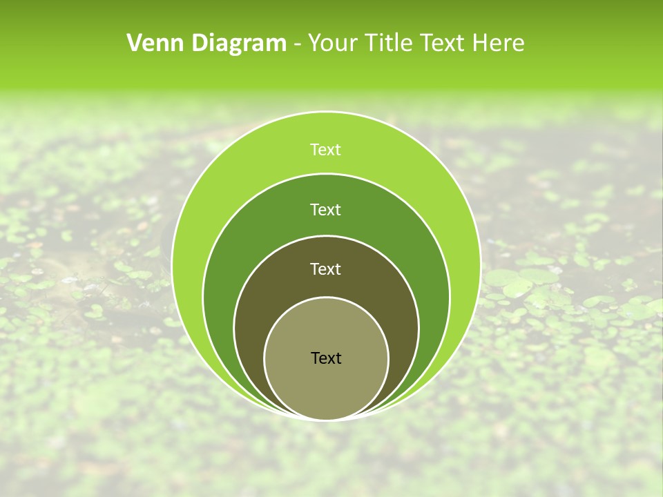 Wildlife Water Outdoors PowerPoint Template