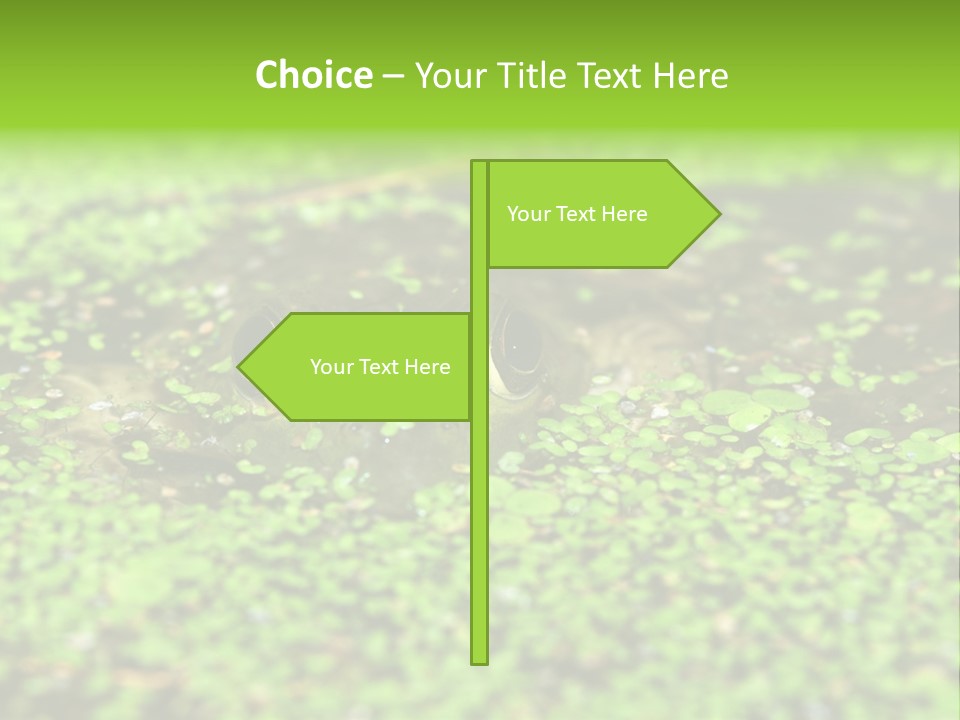 Wildlife Water Outdoors PowerPoint Template