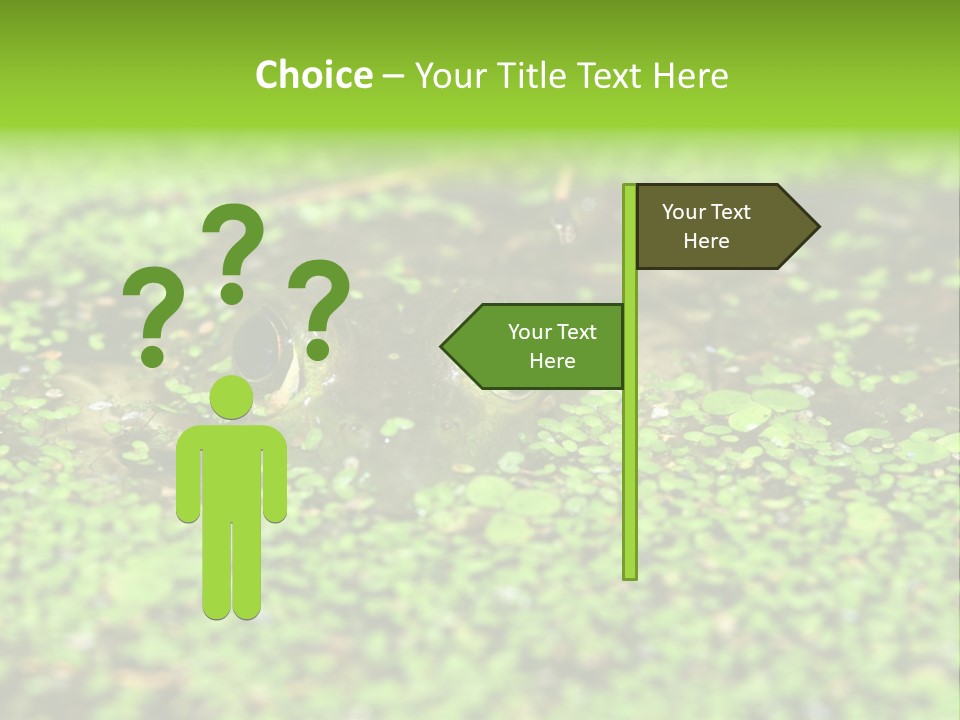 Wildlife Water Outdoors PowerPoint Template