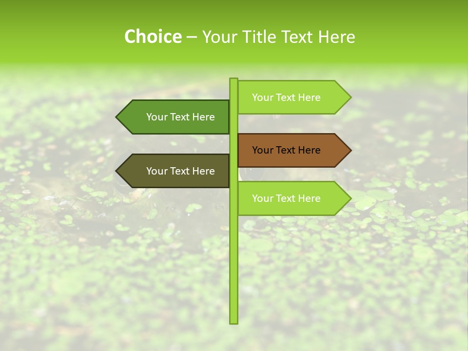 Wildlife Water Outdoors PowerPoint Template