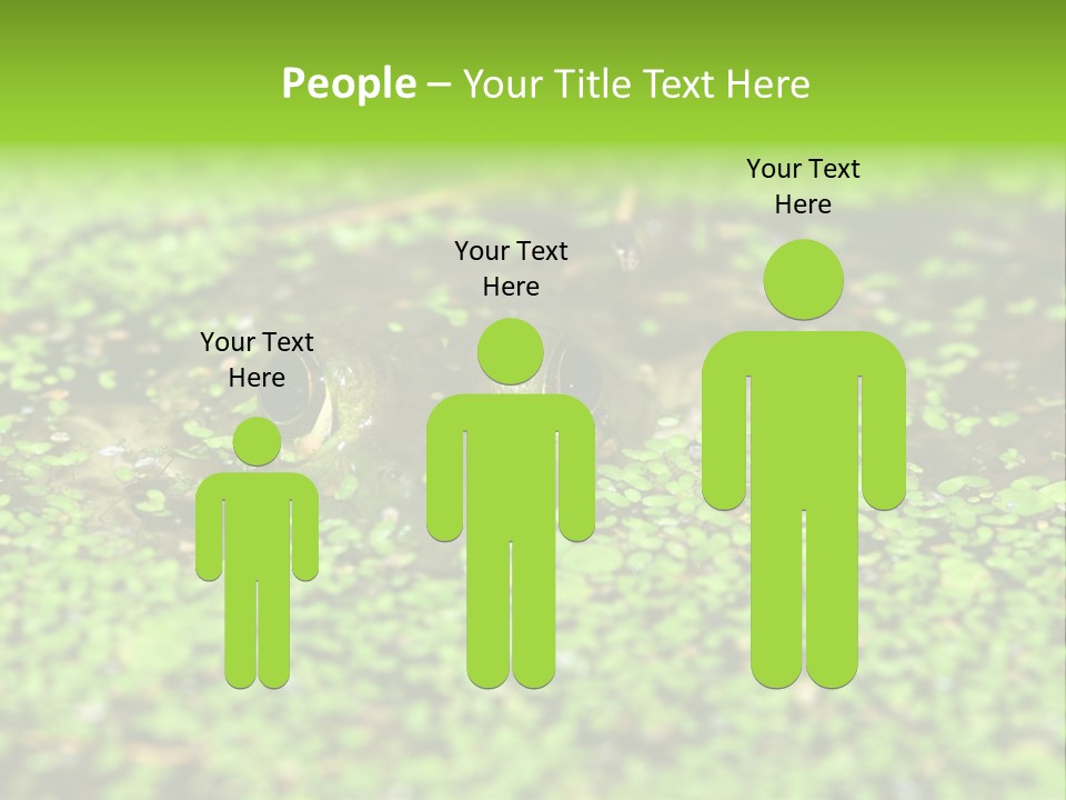 Wildlife Water Outdoors PowerPoint Template