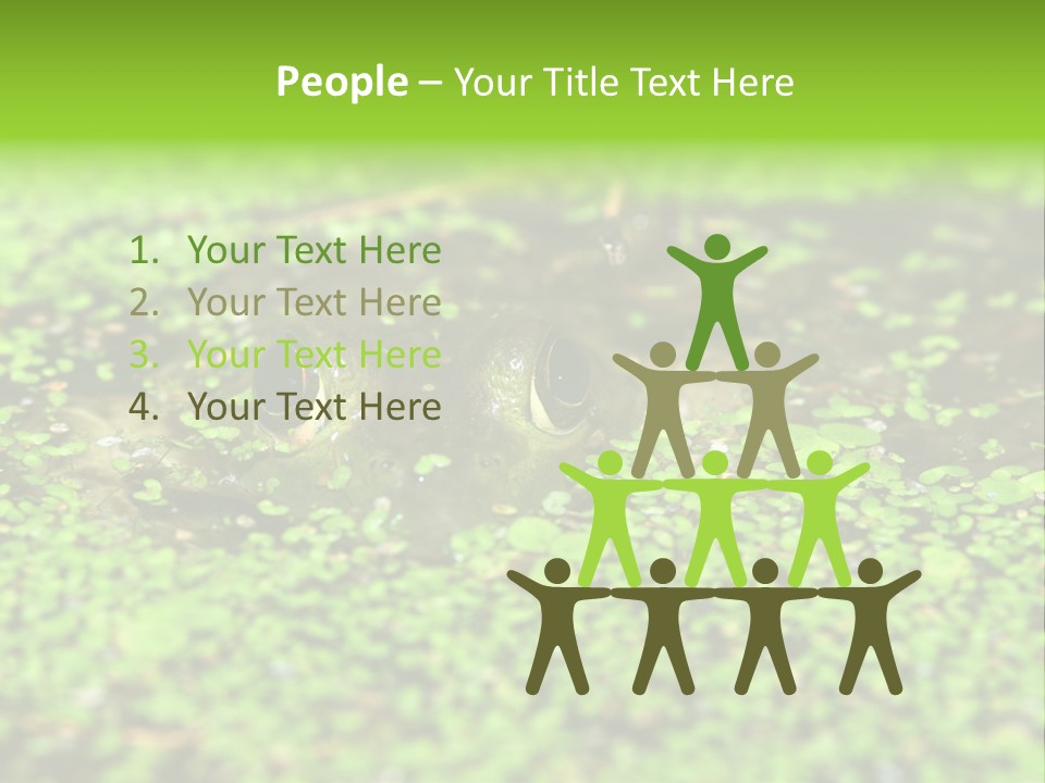 Wildlife Water Outdoors PowerPoint Template