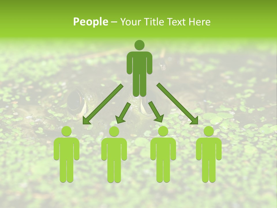 Wildlife Water Outdoors PowerPoint Template