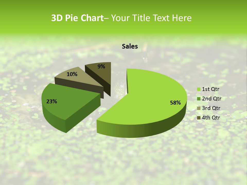 Wildlife Water Outdoors PowerPoint Template