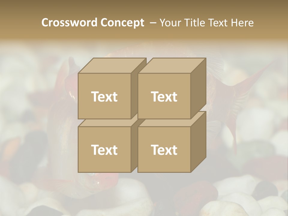 A Couple Of Gold Fish Sitting On Top Of A Pile Of Rocks PowerPoint Template