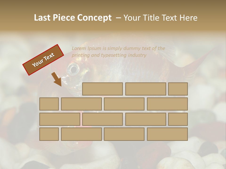 A Couple Of Gold Fish Sitting On Top Of A Pile Of Rocks PowerPoint Template