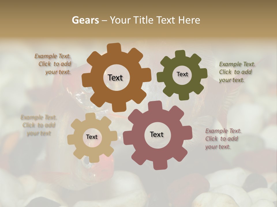 A Couple Of Gold Fish Sitting On Top Of A Pile Of Rocks PowerPoint Template