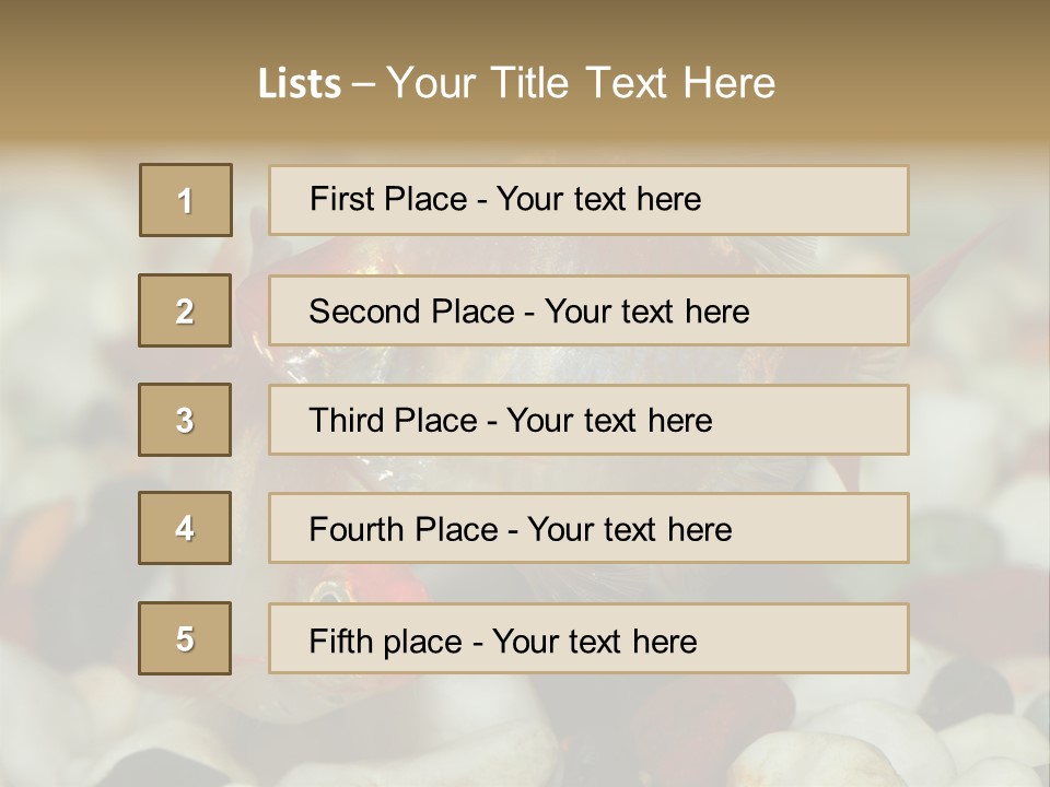 A Couple Of Gold Fish Sitting On Top Of A Pile Of Rocks PowerPoint Template