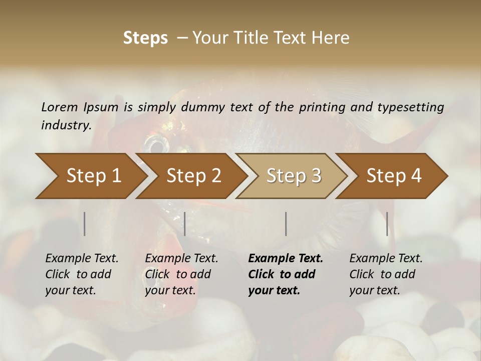A Couple Of Gold Fish Sitting On Top Of A Pile Of Rocks PowerPoint Template