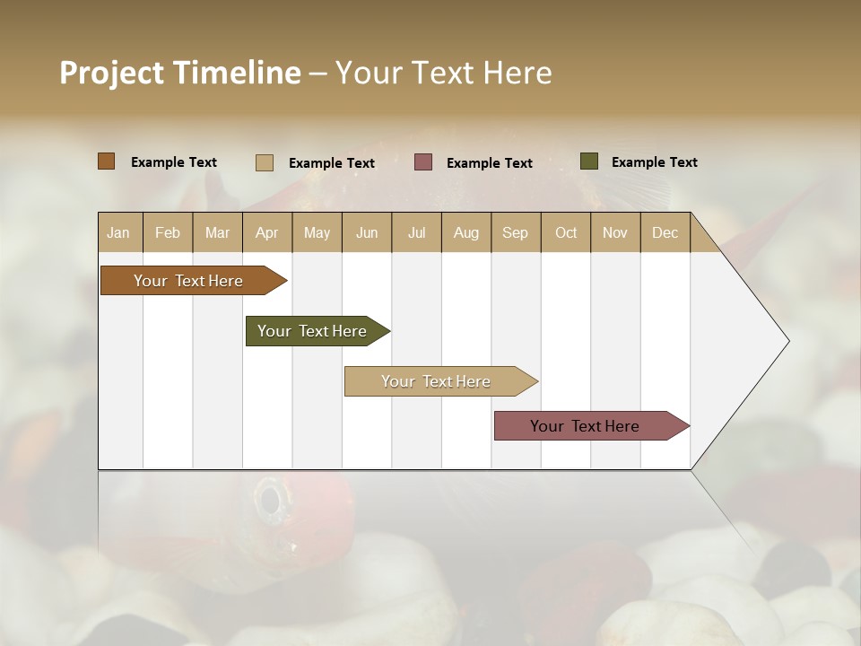 A Couple Of Gold Fish Sitting On Top Of A Pile Of Rocks PowerPoint Template