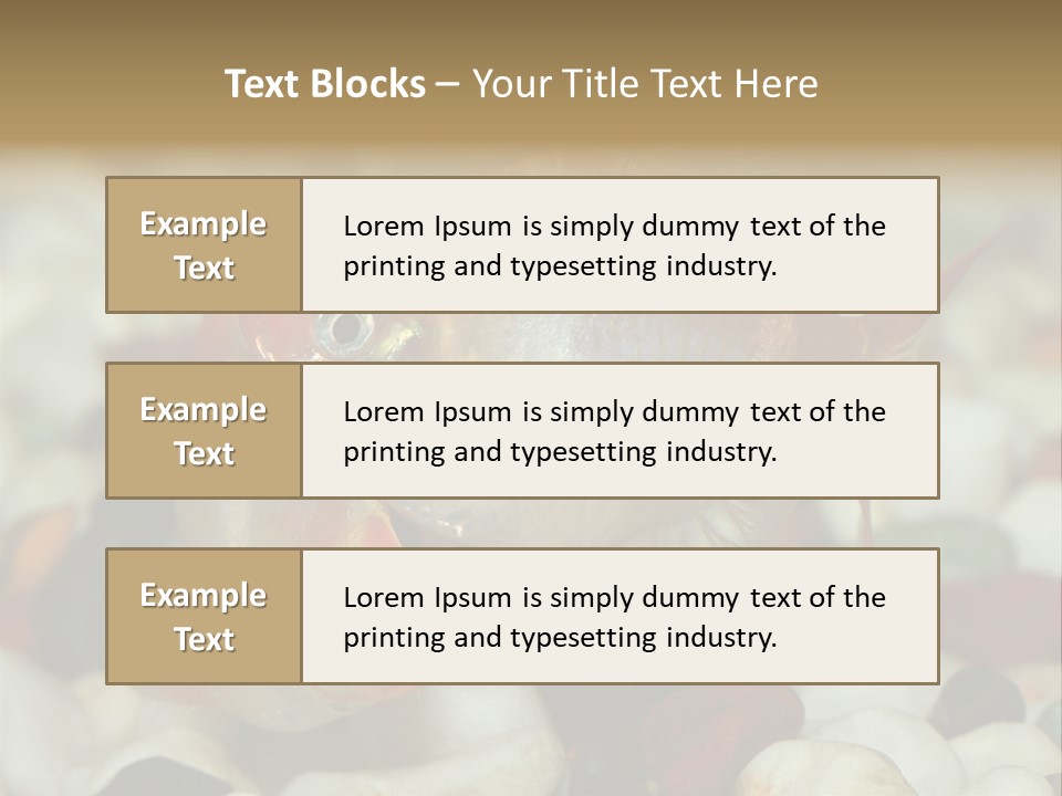 A Couple Of Gold Fish Sitting On Top Of A Pile Of Rocks PowerPoint Template