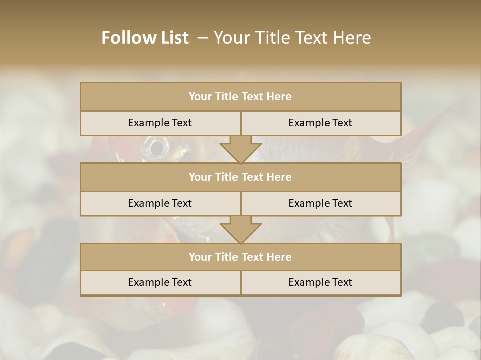 A Couple Of Gold Fish Sitting On Top Of A Pile Of Rocks PowerPoint Template