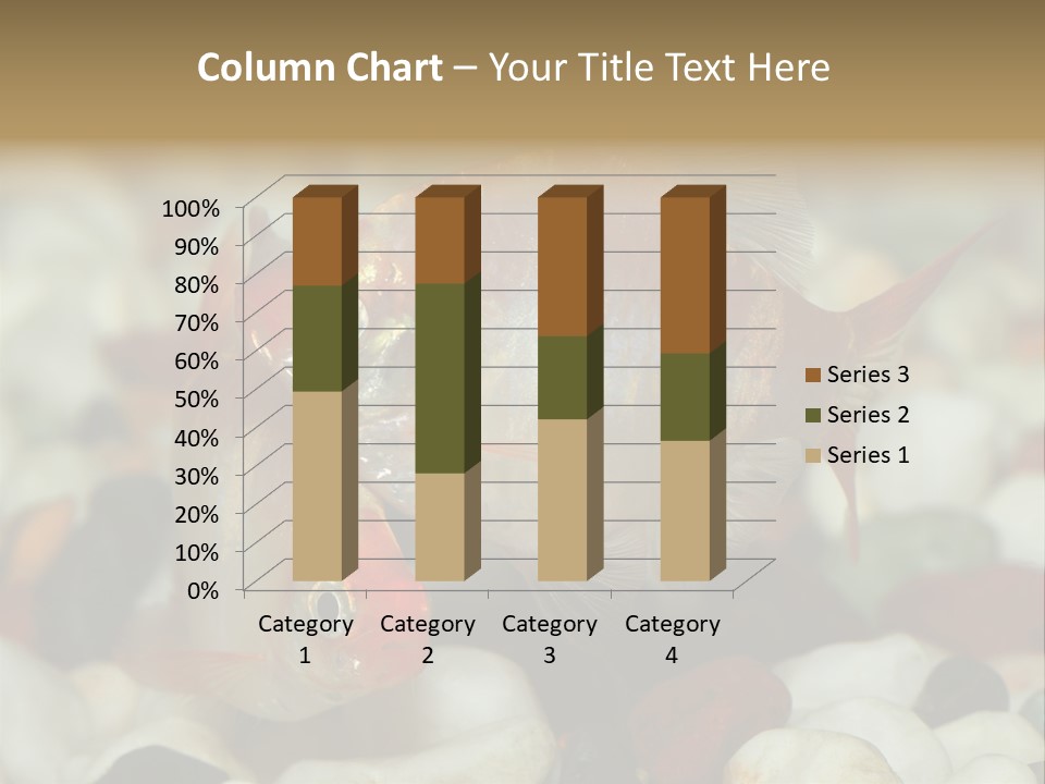 A Couple Of Gold Fish Sitting On Top Of A Pile Of Rocks PowerPoint Template