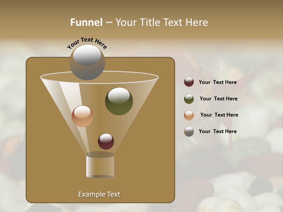 A Couple Of Gold Fish Sitting On Top Of A Pile Of Rocks PowerPoint Template