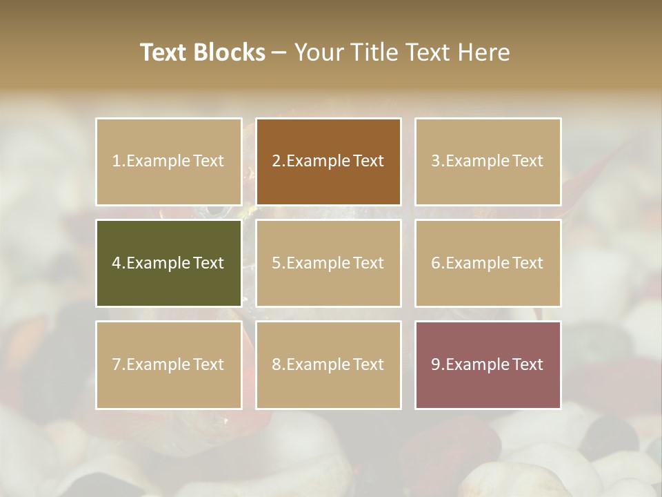 A Couple Of Gold Fish Sitting On Top Of A Pile Of Rocks PowerPoint Template