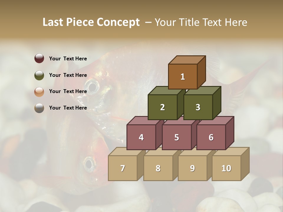 A Couple Of Gold Fish Sitting On Top Of A Pile Of Rocks PowerPoint Template