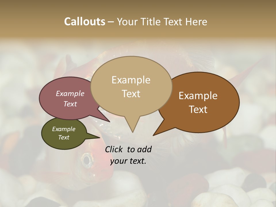 A Couple Of Gold Fish Sitting On Top Of A Pile Of Rocks PowerPoint Template