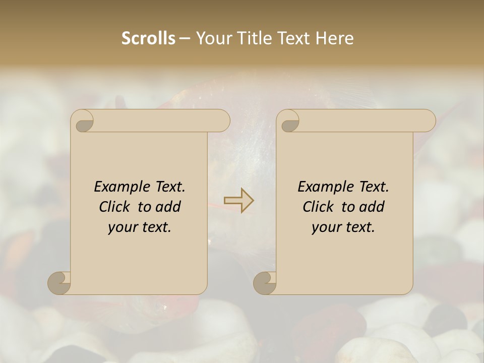 A Couple Of Gold Fish Sitting On Top Of A Pile Of Rocks PowerPoint Template