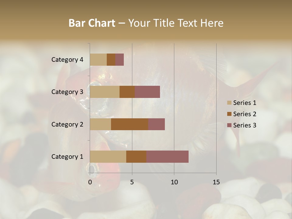 A Couple Of Gold Fish Sitting On Top Of A Pile Of Rocks PowerPoint Template