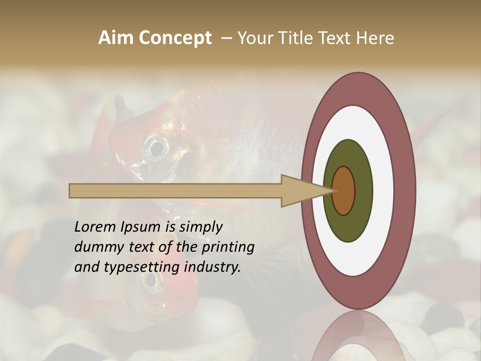 A Couple Of Gold Fish Sitting On Top Of A Pile Of Rocks PowerPoint Template